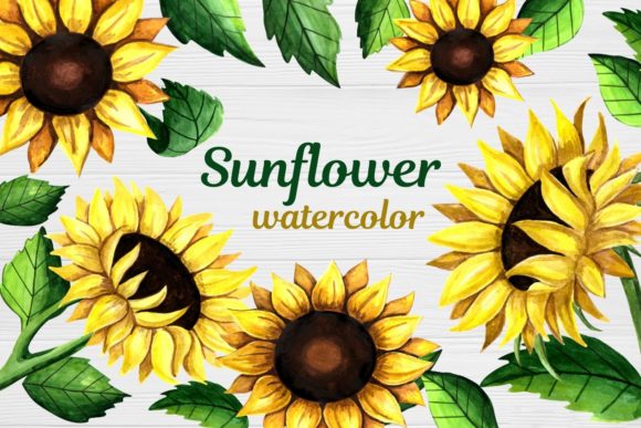 Sunflower Clipart Watercolor: A Crafts-Inspired Design Asset for Branding and Visual Projects
